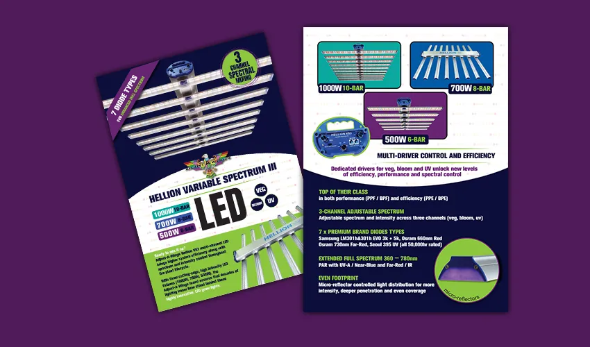 Hellion LED Family Flyer